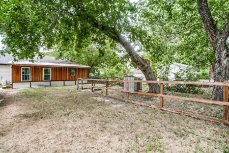 The Blue Cactus in Downtown McKinney