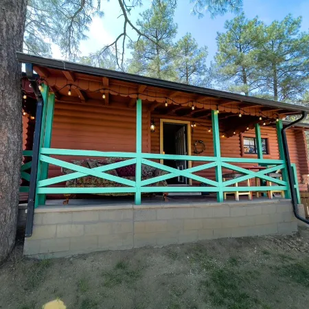 Rustic Cabin Bordering the Pines, Less than 1mi to DT Square