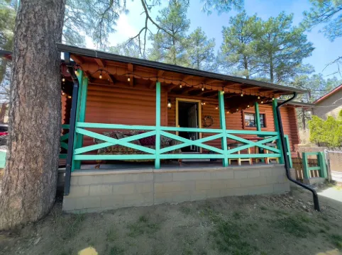 Rustic Cabin Bordering the Pines, Less than 1mi to DT Square