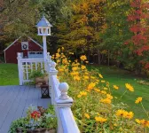 Edson Hill- 5 acres, Dogs/ Views/ Pond /Sledding/ Pingpong  and Air hockey .