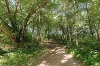 "Morning View 3” Cozy Modern Stay - College/Hiking Hotels in Berea