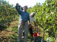 Holidays in a former monastery from the 14th century - apartment del soppalco