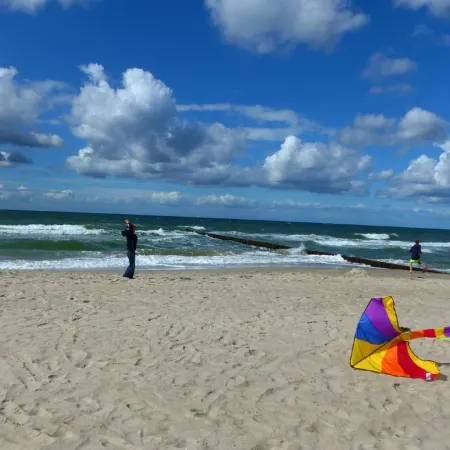 Baltic Sea wind at the edge of the forest