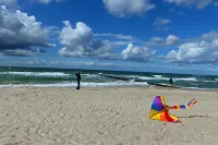 Baltic Sea wind at the edge of the forest