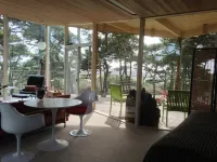 Tree Top Glass House - Hi House
