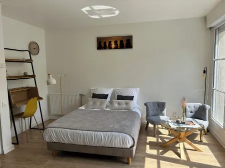 La Pléïade Dorée - Hyper Centre, Avec Cours Privative. Animaux Acceptés !