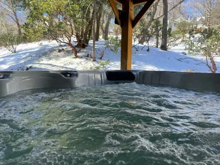 Rustic Luxury w/ hot tub, A/C + pet friendly Отели в г. Лейк Арроухед