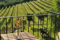 Villa Gallina Apartamento Hotels in Neive