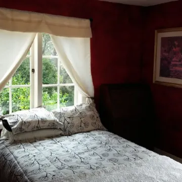 Convenient walk to UC, Haas, MSRI, Simons and Goldman School. Historic home.