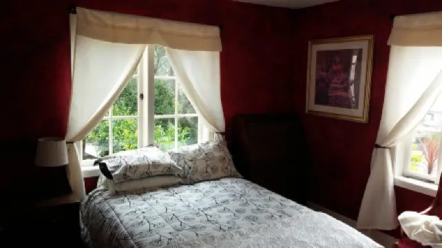 Convenient walk to UC, Haas, MSRI, Simons and Goldman School. Historic home.