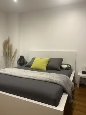 Elegant apartment in Lyon