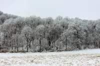 Cozy Amish built cabin in the heart of the Kickapoo Valley Reserve State Park.
