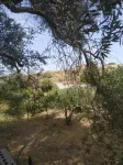 Olea House located in the countryside and close to everything you want.