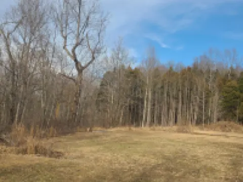 Cozy 2-bedroom country side cabin. Minutes from Patoka Lake. Pet friendly. Hotels in Orange County