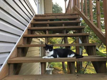 The Cotton Cottage - 1 BR guest apartment 7 minutes from the Ole Miss campus