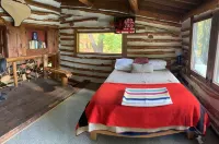 Secluded Finger Lakes Cabin Near Watkins Glen. Views,  Private Trails, Firepit