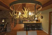 維奧拉小屋