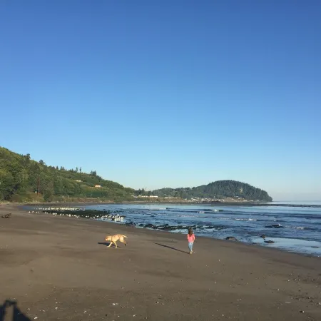 Stay at the BEST Olympic Peninsula Ocean Beach Retreat!