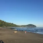 Stay at the BEST Olympic Peninsula Ocean Beach Retreat! - ビーチサイド