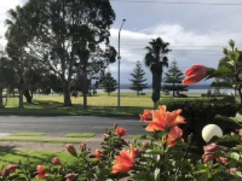 1 Commodore Batehaven Hotels in Batehaven