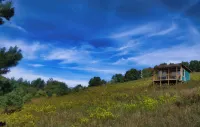 "Cozy, Peaceful Tiny House with Mountain Views, Short Walk from Parking" - Chalets