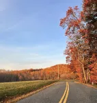 Pet friendly home, pond, paddle boat, fishing gear, hiking, wineries, game room Hotels in Greene County