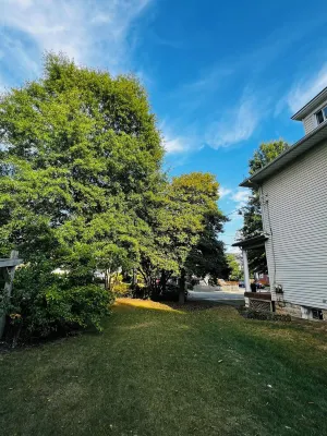 4-bedroom farmhouse in Clarendon Walk to Metro, Shops, Nightlife Best Location