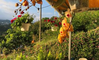 Nha Hoa Nang Homestay, Cau Dat, Da Lat