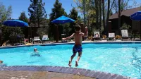Gorgeous Tahoe Condo- Pools Tennis, Pickleball , Walk to the Beach! - Pools