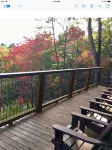 Luxury Private Cabin with Mt.Le Conte Views, 5 Stars, Hot Tub, Theatre/Game Room