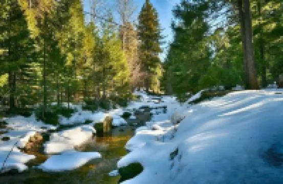 Creekside Retreat in Lassen, 9 Miles to Lassen NP. Snowshoes, EV Charger!