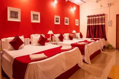 Panther Jungle Stay Hotels in Dandeli