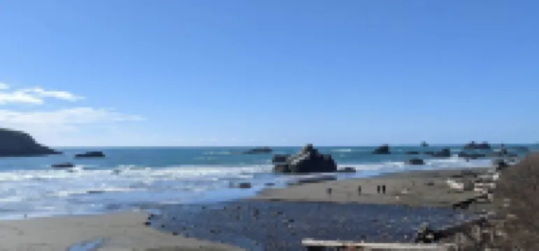 Sparkling Clean, Private & Quiet! Amazing Ocean Views [7]