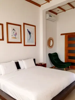 Galapagos Coliving Ecuador Casa Tuna Hotels in Santa Cruz Island