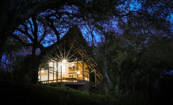 Amakhosi Safari Lodge & Spa