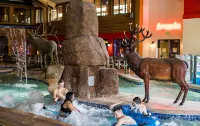 Tundra Lodge - Pools