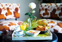 Savoy Hotel Boutique Hotel di Las Terrenas
