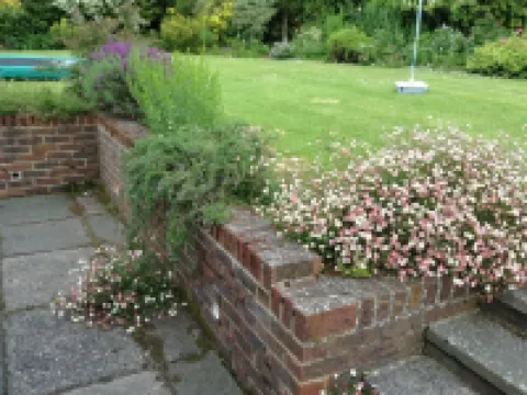 Courtlands Nurseries B&B Hotels in East Grinstead