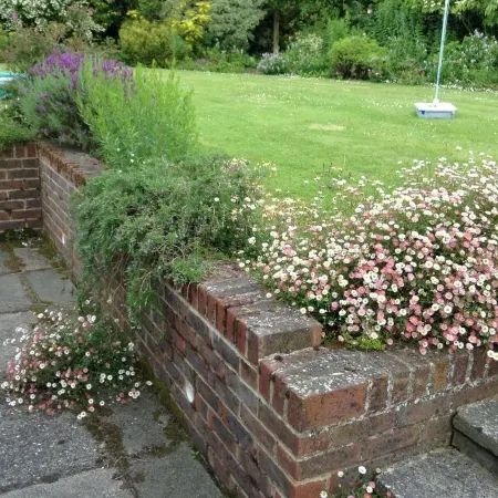 Courtlands Nurseries B&B