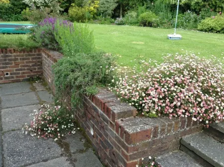 Courtlands Nurseries B&B Отели в г. Ардингли