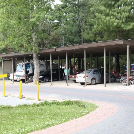 Chinar Family Resort