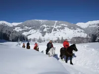 Apartment in Zillertal Near Ski Slopes Hotels in Fügenberg