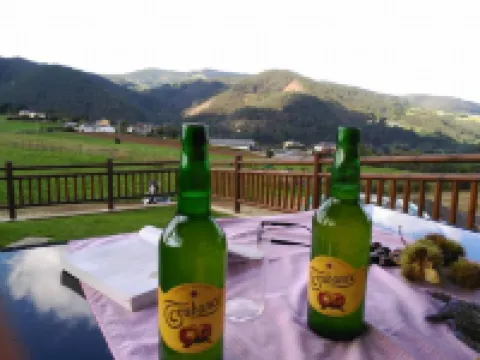 Apartamentos Rurales "La Torre" y "El Pielago"