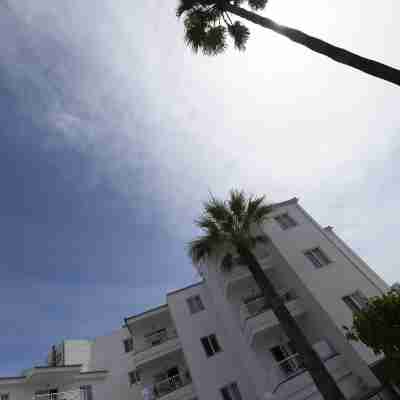 Sand Beach Apartments Hotel Exterior