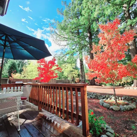 Miranda Gardens Resort Отели в г. Редуэй