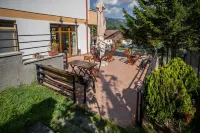 Opus View