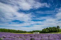 Stylish Retreat - Close to Beach, Wineries, WiFi Hotels in Traverse City
