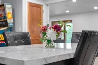 Sauna and Cozy Living Area - Luxurious Cottage Retreat