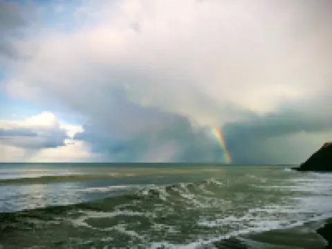 Coble Cottage. By the sea, family and dog friendly