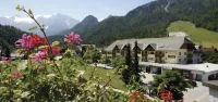 Vitranc Apartments - Mountain view